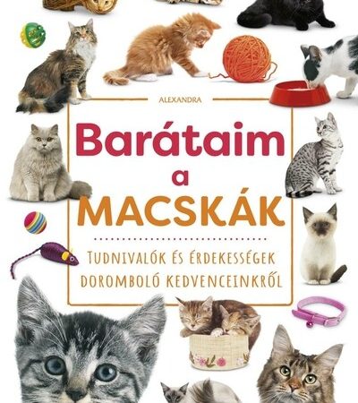 barataim-a-macskak