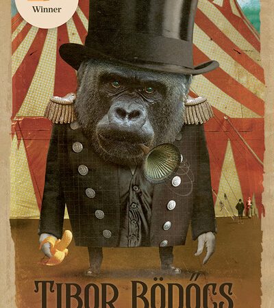 bodocs-tibor-luigi-the-last