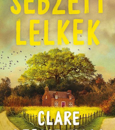 clare-leslie-hall-sebzett-lelkek
