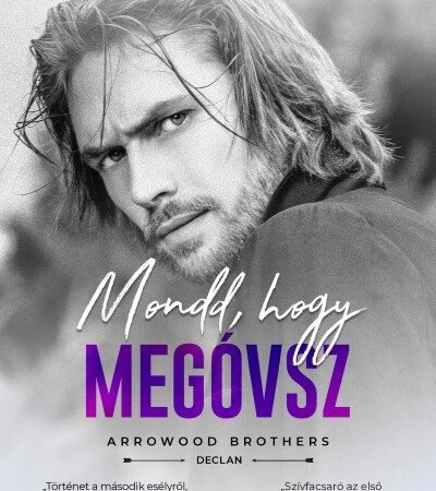 corinne-michaels-mondd-hogy-megovsz-arrowood-brothers-declan