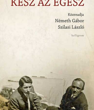 gabriely-gyorgy-kesz-az-egesz-kozreadja-nemeth-gabor-szilasi-laszlo