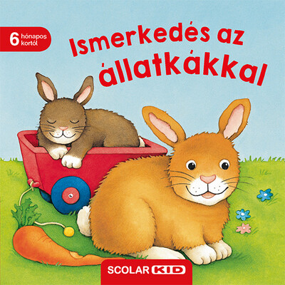 monika-neubacher-fesser-ismerkedes-az-allatkakkal