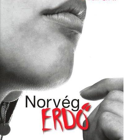 murakami-haruki-norveg-erdo