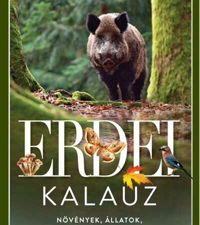 peter-wohlleben-erdei-kalauz-novenyek-allatok-evszakok-kirandulas-2-kiadas