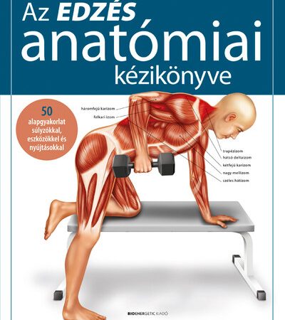 prof-dr-ken-ashwell-az-edzes-anatomiai-kezikonyve-50-alapgyakorlat-sulyzokkal-eszkozokkel-es-nyujtasokkal