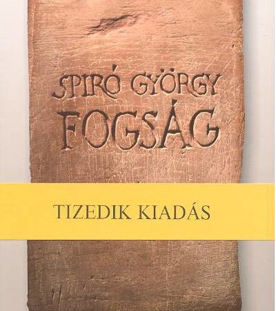 spiro-gyorgy-fogsag