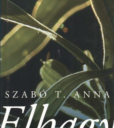 szabo-t-anna-elhagy